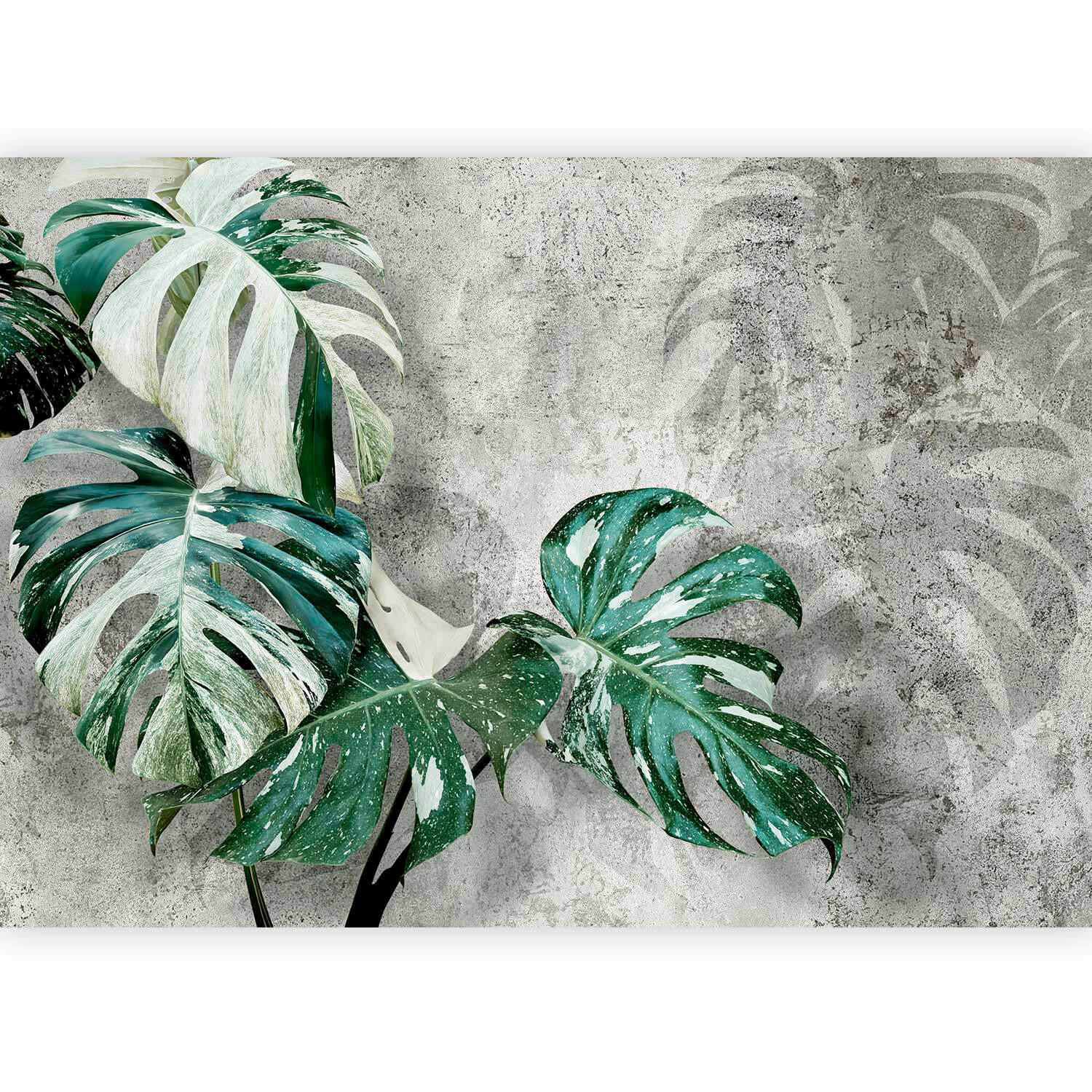 FOTOTAPET 100/70 cm  - grön/gråvit, Lifestyle, textil (100/70cm) - artgeist