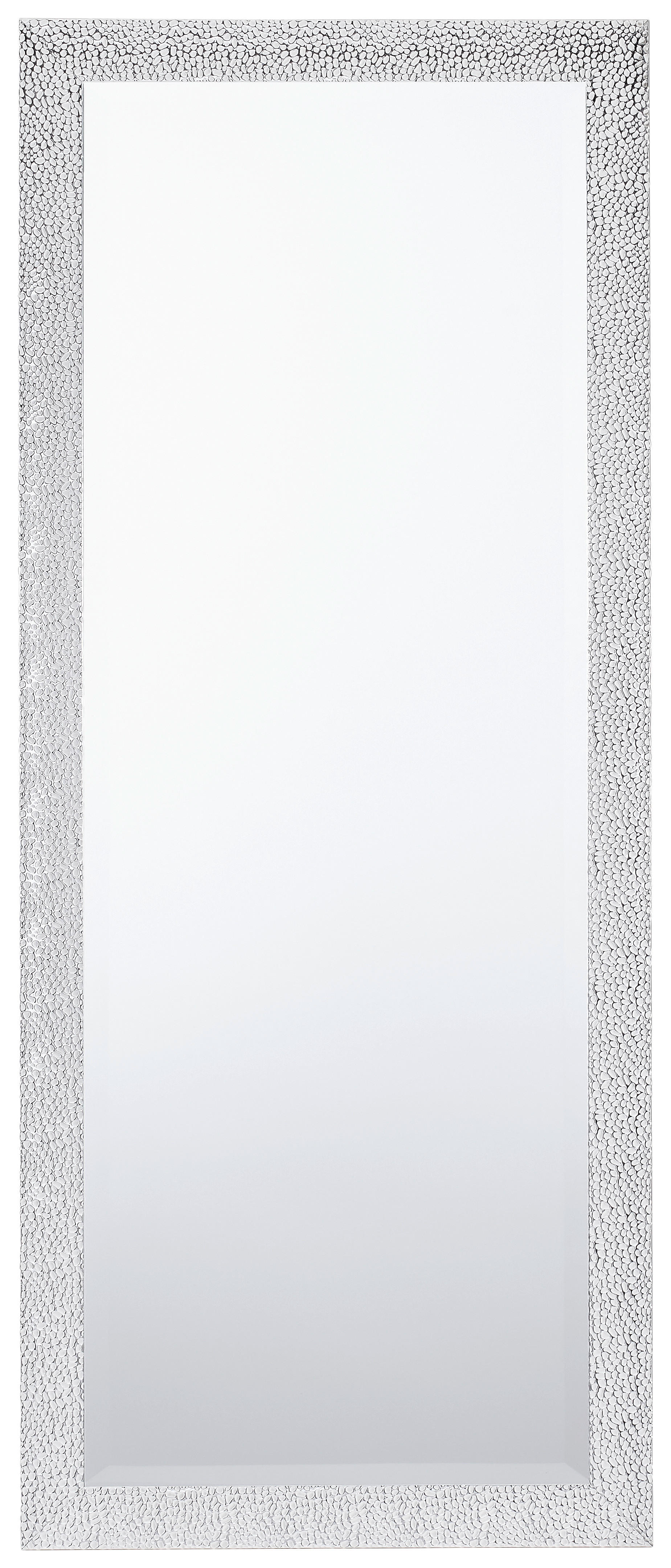 WANDSPIEGEL Silberfarben  - Silberfarben, LIFESTYLE, Glas/Kunststoff (70/170/2cm) - Carryhome