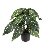 KER BEGÓNIE  - tmavozelená, Basics, textil/plast (30/26cm)
