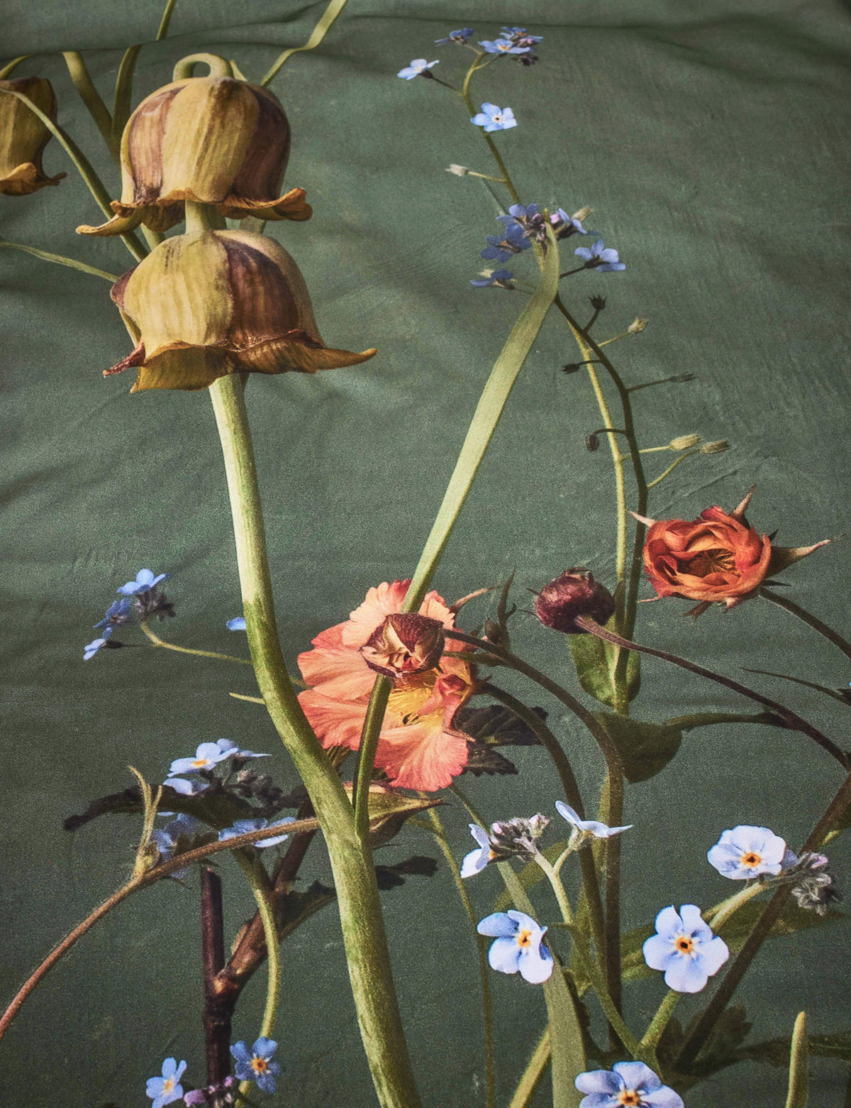 POSTELJNINA   200/200 cm       - zelena, Konvencionalno, tekstil (200/200cm) - Essenza