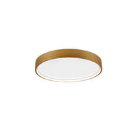 LED-DECKENLEUCHTE DOHA 45/5,5 cm   - Messingfarben, KONVENTIONELL, Metall (45/5,5cm) - Trio Leuchten
