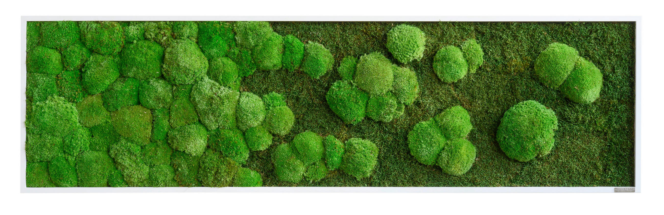 MOSSBILD Stylegreen  - vit/grön, Basics, trä/naturmaterial (140/40/7cm)