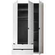 DREHTÜRENSCHRANK 135,4/225,5/57 cm 3-türig Weiß  - Schwarz/Weiß, MODERN, Glas/Holzwerkstoff (135,4/225,5/57cm) - Xora