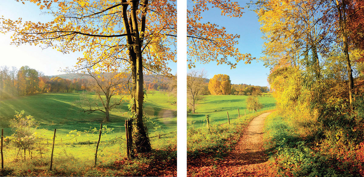 OBRAZ NA SKLE, krajina a příroda, 20/40 cm  - vícebarevná, Natur, sklo (20/40cm) - Euroart