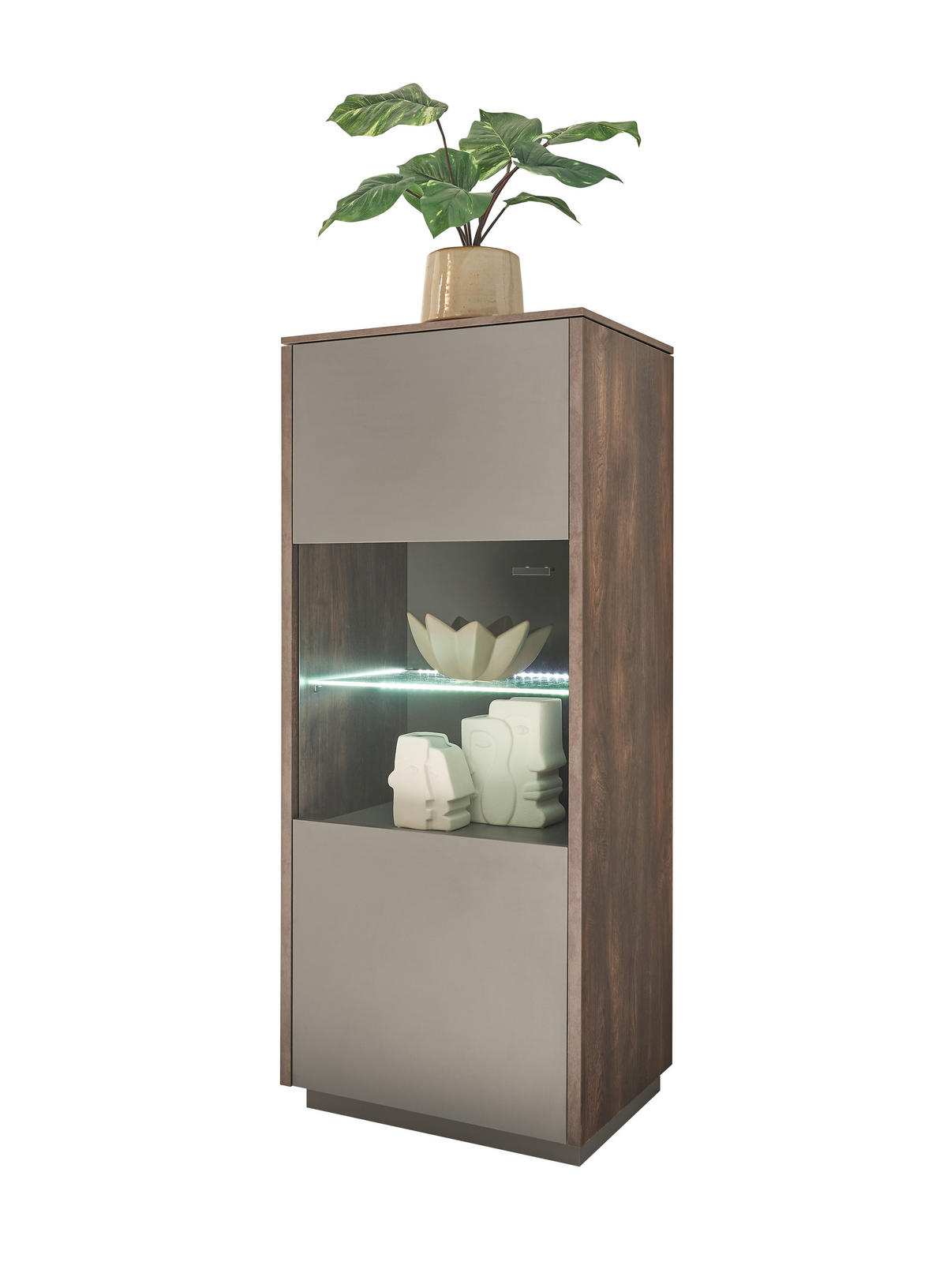 VITRINE in Anthrazit, Eichefarben  - Eichefarben/Anthrazit, Design, Glas/Holzwerkstoff (55/130/40cm) - MID.YOU