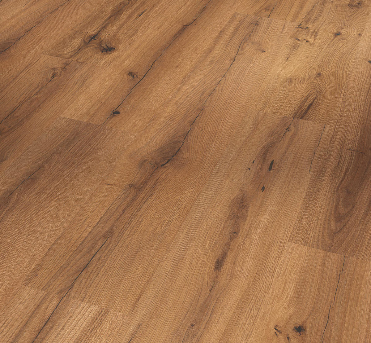 LAMINATBODEN Laminat Basic 400  per  m² - Eichefarben, Basics, Holzwerkstoff (128.5/19.4/0.8cm) - Parador