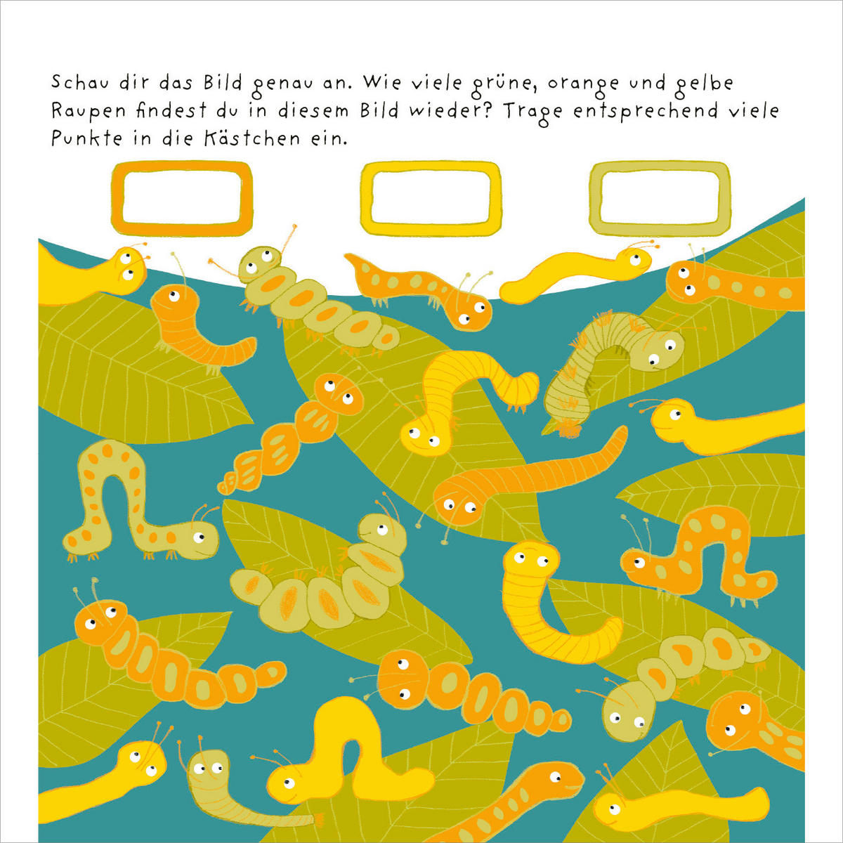 BUCH  - Multicolor, Basics, Papier (17/17/1cm)