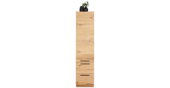 HOCHSCHRANK 40/173/45 cm  - Eichefarben/Schwarz, MODERN, Holz/Metall (40/173/45cm) - Dieter Knoll