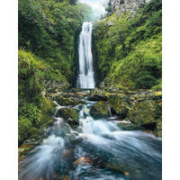 NON WOVEN-TAPET 200/250 cm  - Natur (200/250cm)