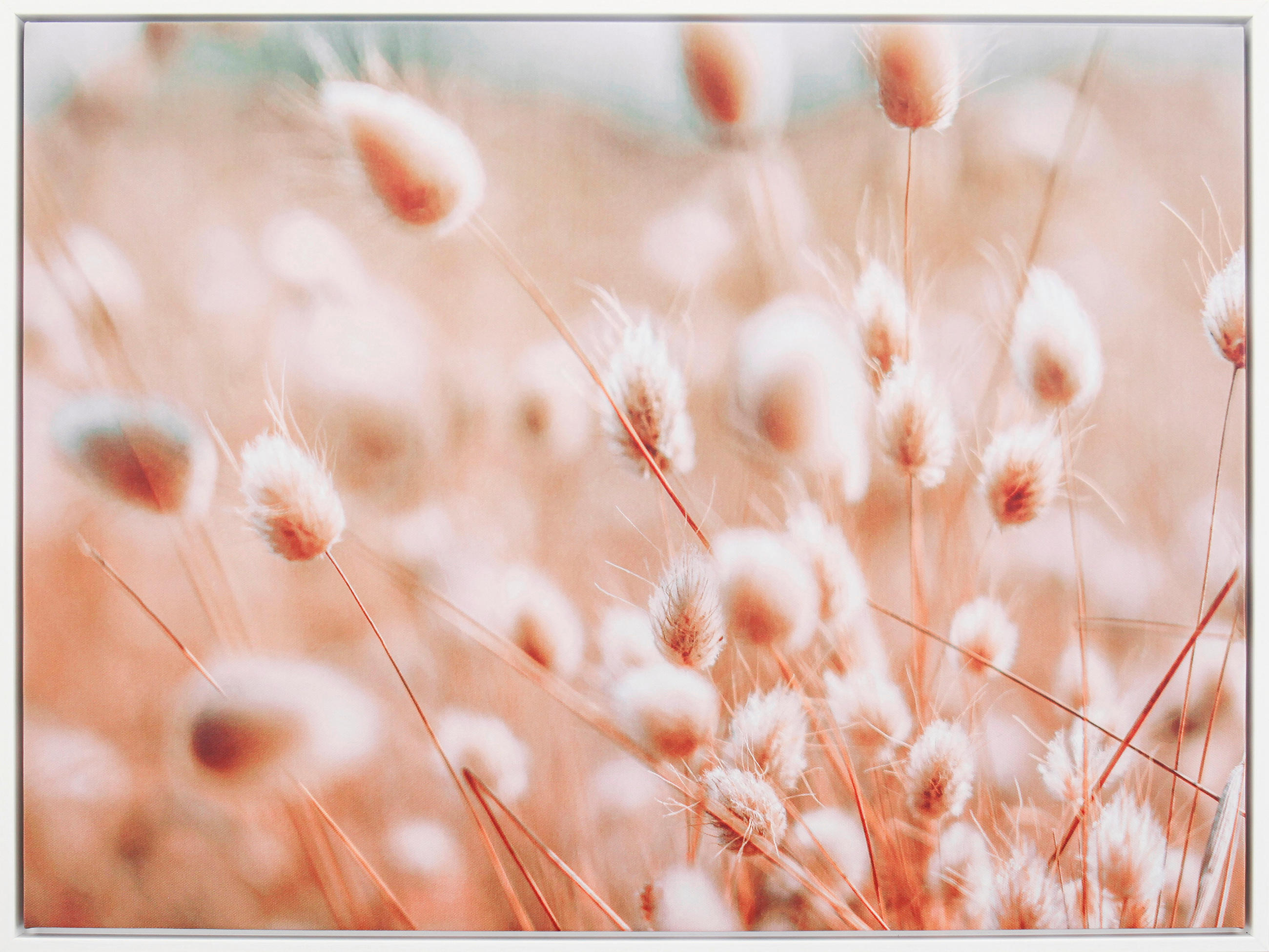 Monee UMĚLECKÝ TISK, krajina & příroda, 60/45 cm