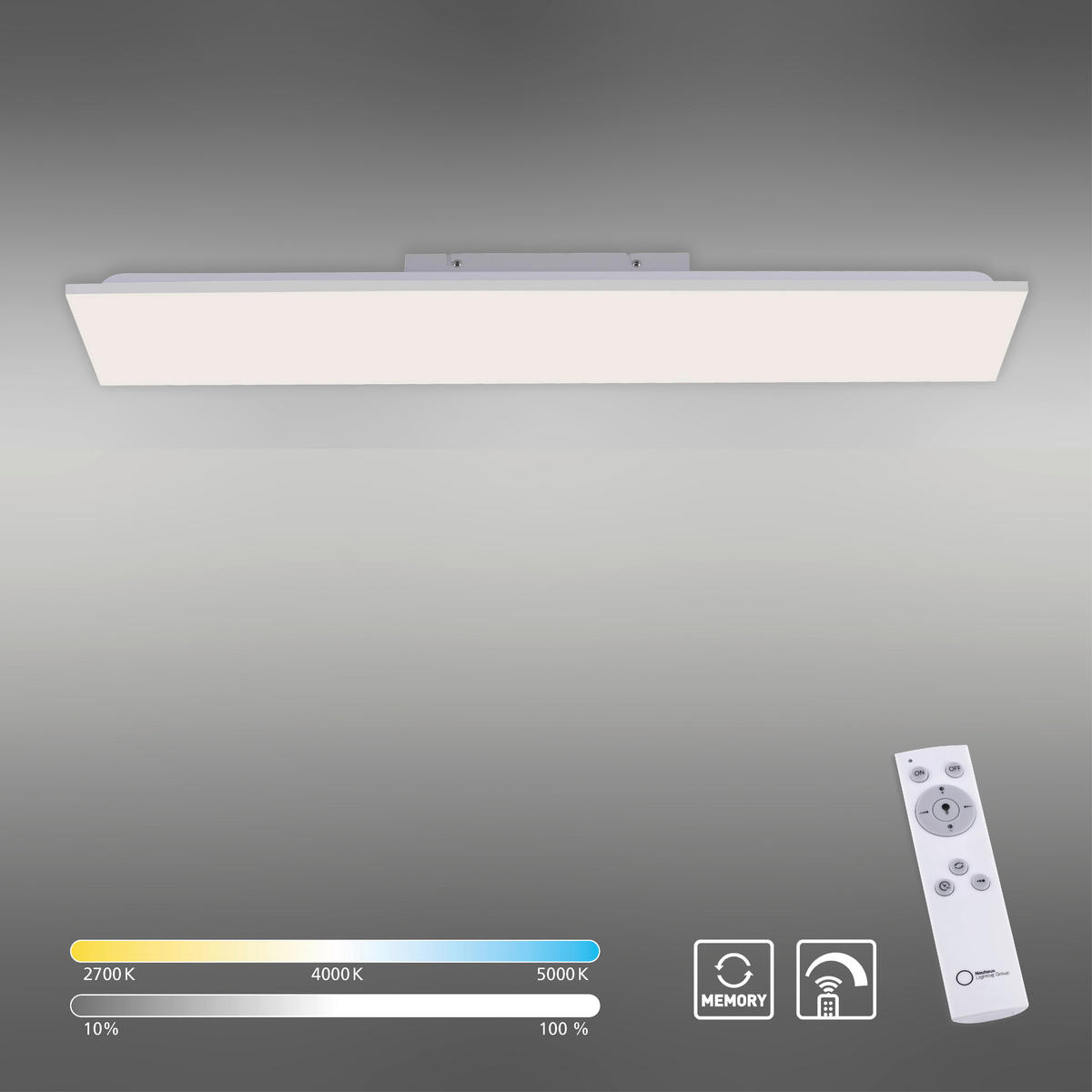 LED-DECKENLEUCHTE Canvas 100/25/6,2 cm   - Basics, Kunststoff/Metall (100/25/6,2cm)