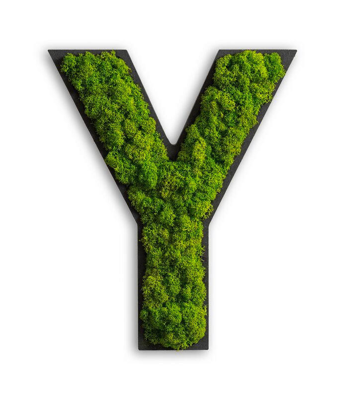 StyleGREEN MECHOVÝ OBRAZ