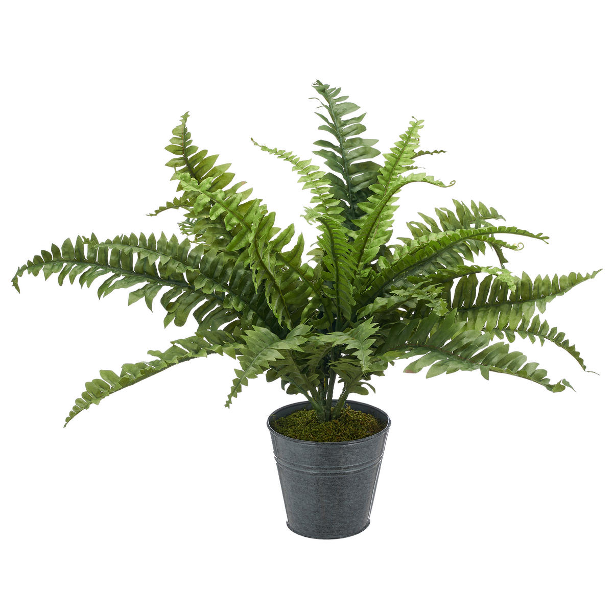 KUNSTPFLANZE Farn  - Zinkfarben/Grün, Basics, Kunststoff/Metall (60cm) - P & B