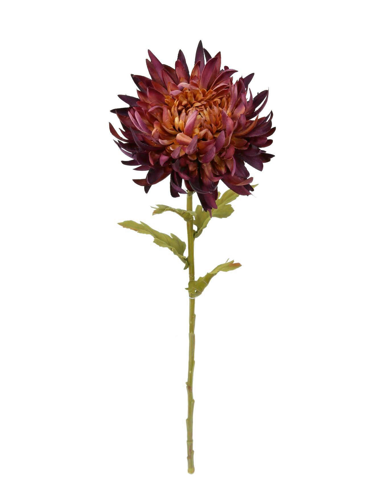 DAHLIE - Violett, LIFESTYLE, Kunststoff (62cm)