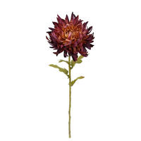 DAHLIE - Violett, LIFESTYLE, Kunststoff (62cm)
