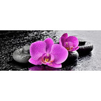 GLASBILD Orchideen, Steine, Zen Schwarz, Pink 125/50 cm  - Pink/Schwarz, Basics, Glas (125/50cm) - Monee