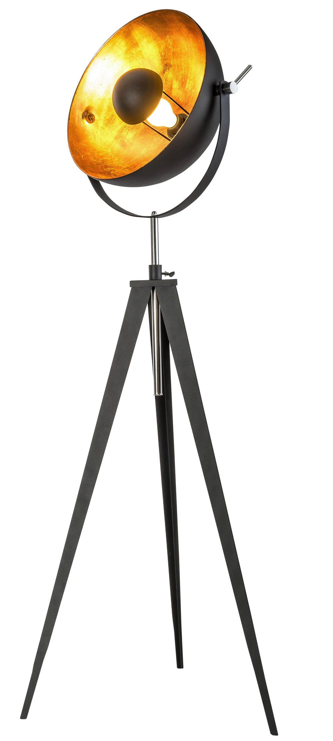 STEHLEUCHTE 63,5/168 cm    - Goldfarben/Schwarz, Design, Metall (63,5/168cm)