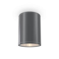 AUßENDECKENLEUCHTE Outdoor 9/11,5 cm  - Graphitfarben, Trend, Metall (9/11,5cm) - MAYTONI