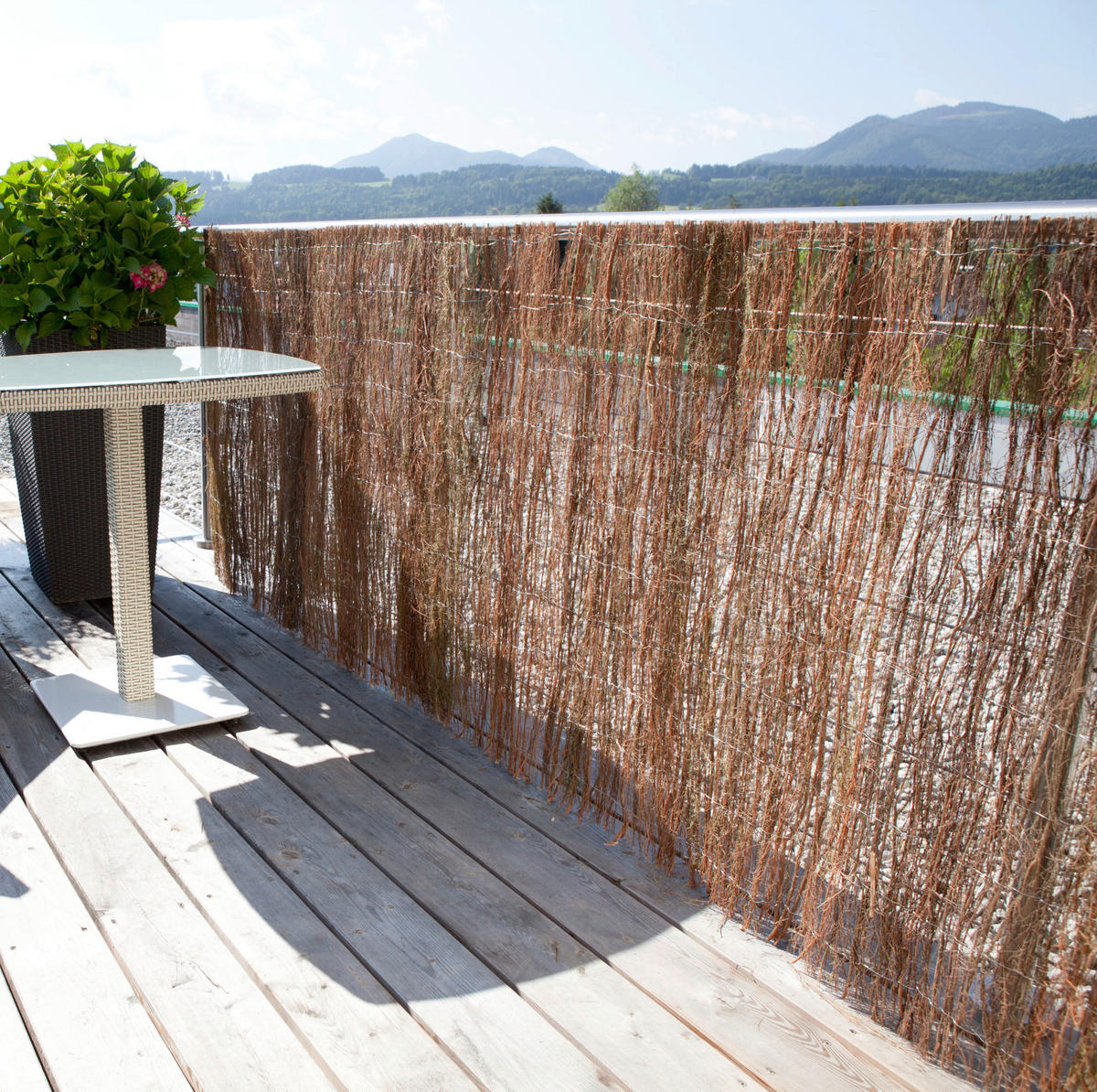 SICHTSCHUTZ - Naturfarben, Basics, Naturmaterialien (300/150cm)