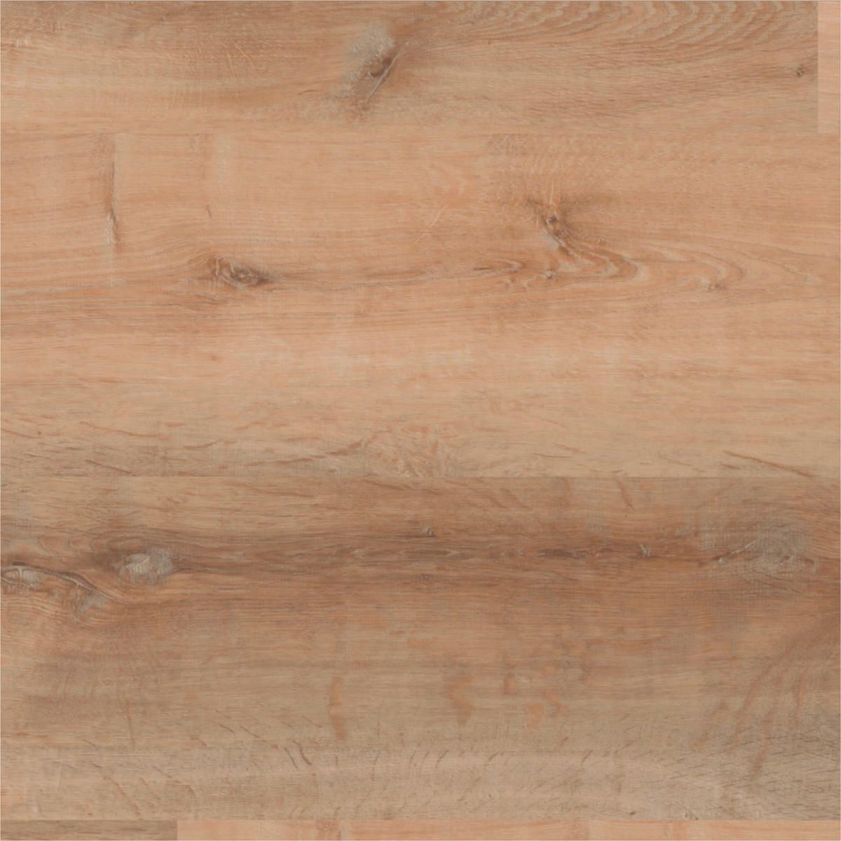 DESIGNBODEN More+  per  m² - Eichefarben/Cognac, Basics, Kunststoff (121/22/0,5cm)
