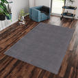HOCHFLORTEPPICH 200/300 cm Catwalk Grau  - Grau, Basics, Textil (200/300cm) - Novel