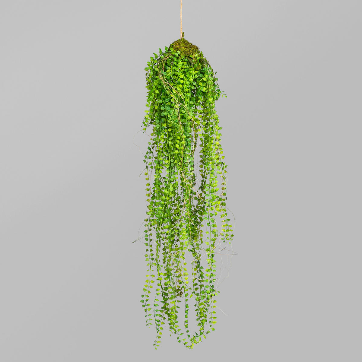 KUNSTPFLANZE 70 cm  - Grün, Basics, Kunststoff (70cm) - P & B