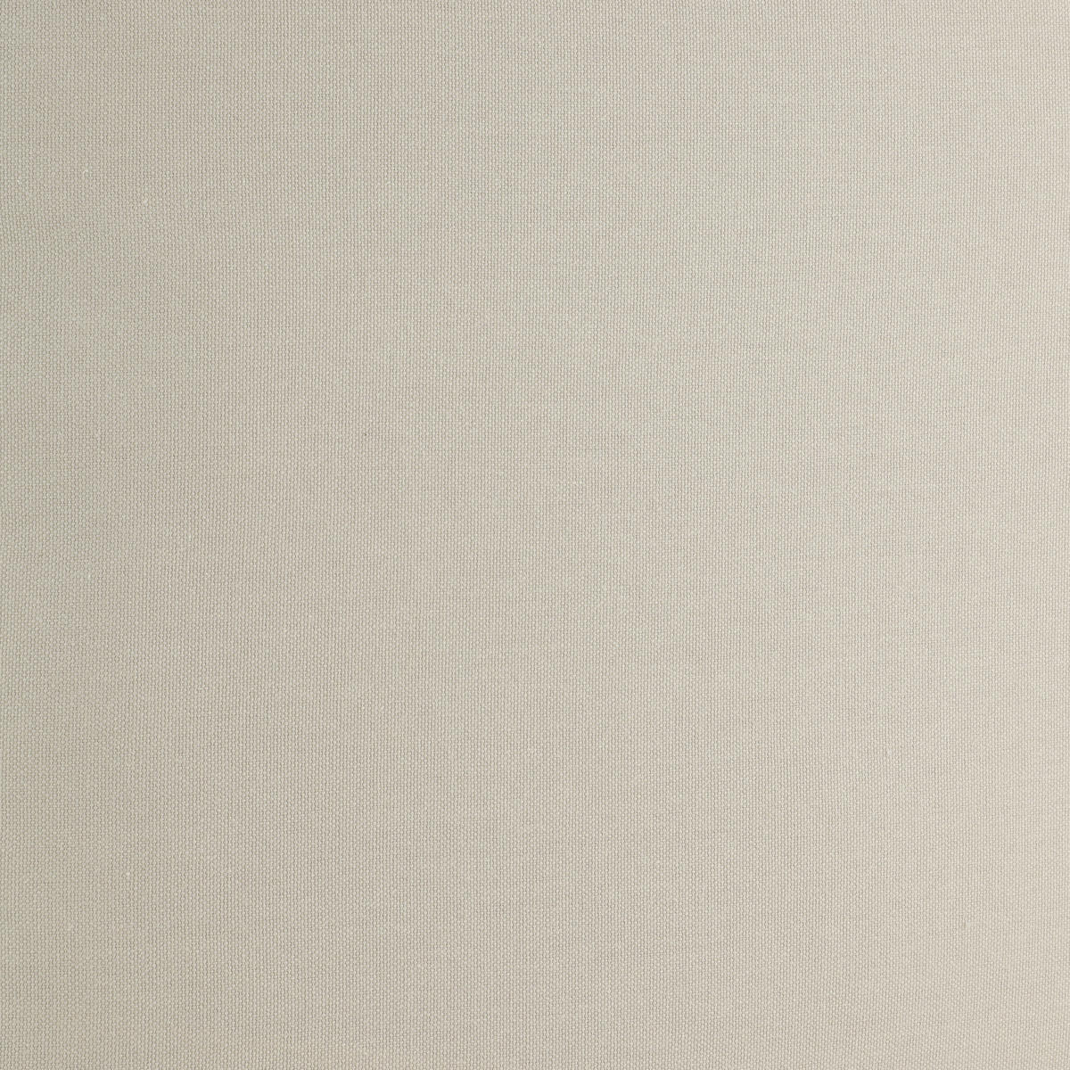 ZIERKISSEN  50/50 cm   - Beige, Basics, Textil (50/50cm) - Eglo