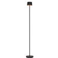 AKKU-STEHLEUCHTE 16/120 cm    - Schwarz, Design, Kunststoff/Metall (16/120cm) - Dieter Knoll