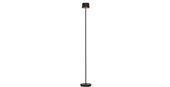AKKU-STEHLEUCHTE 16/120 cm - Schwarz, Design, Kunststoff/Metall (16/120cm) - Dieter Knoll