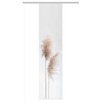 FLÄCHENVORHANG in Sandfarben halbtransparent  - Sandfarben, Natur, Textil (60/260cm)