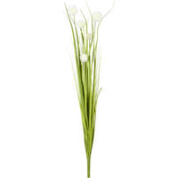 DEKORAČNÁ TRÁVA, 70 cm - krémová/zelená, Basics, plast (70cm)