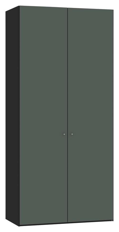 DREHTÜRENSCHRANK 102/220/40 cm 2-türig Grau, Grün, Schwarz  - Silberfarben/Schwarz, Design, Glas/Holzwerkstoff (102/220/40cm) - Jutzler