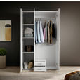 KLEIDERSCHRANK  in Weiß  - Alufarben/Weiß, KONVENTIONELL, Glas/Holzwerkstoff (120/195/55cm) - Carryhome