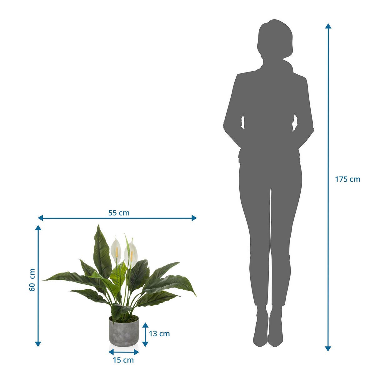 KUNSTPFLANZE  - Weiß/Grau, MODERN, Kunststoff (55/60/40cm) - MID.YOU