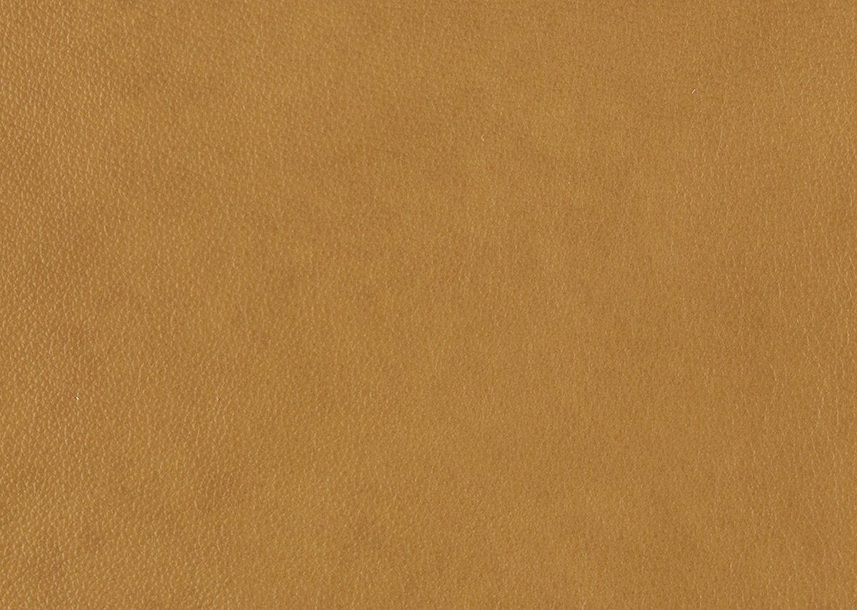 SESSEL in Echtleder Currygelb  - Currygelb/Schwarz, Design, Leder/Kunststoff (80/78/82cm) - Celina