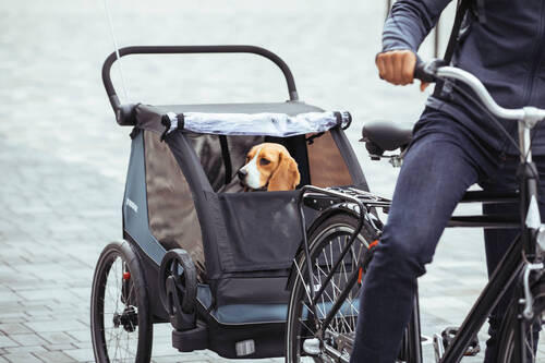 DOG KIT   Courier  - Basics (70/8/53cm) - Thule