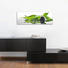 Steine, Zen GLASBILD - Multicolor, LIFESTYLE, Glas (33/98cm) - Eurographics
