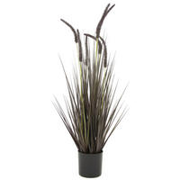 KUNSTPFLANZE  - Natur (12,5cm) - Ambia Home