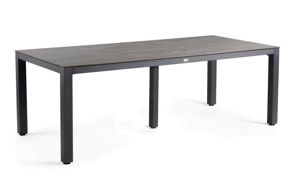 GARTENTISCH Metall, Kunststoff Anthrazit, Grau rechteckig  - Anthrazit/Grau, Basics, Kunststoff/Metall (280/100/75cm) - Tierra Outdoor