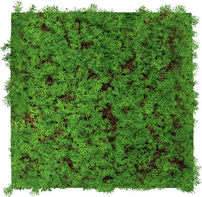 Jangal Akustikpaneel Modular Wall System Nature Design Flora Hellgrün 52x52x6 cm