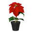 KUNSTBLUME Weihnachtsstern - Rot/Grün, Kunststoff (35cm) KUNSTBLUME Weihnachtsstern - Rot/Grün, Kunststoff (35cm)