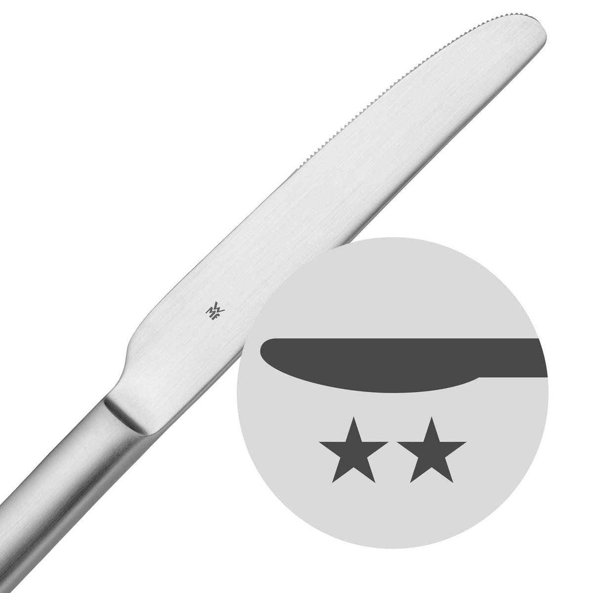 MESSER - Edelstahlfarben, Basics, Metall (22,8/2,1/8cm) - WMF