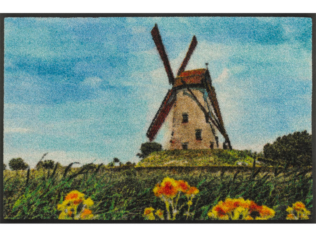 FUßMATTE  50/75 cm  Multicolor  - Multicolor, KONVENTIONELL, Kunststoff/Textil (50/75cm) - Esposa