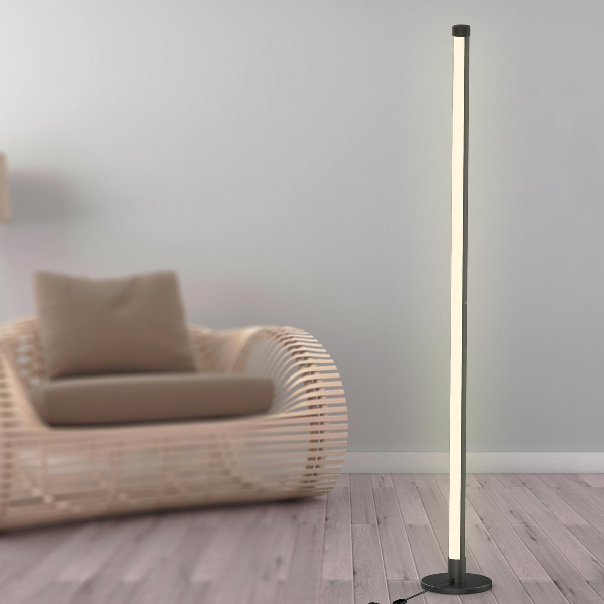 LED-STEHLEUCHTE    - Schwarz, Design (150 cm cm) - Näve
