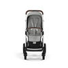 KINDERWAGEN Talos S Lux  - Silberfarben/Grau, Basics, Textil/Metall (91/60,5/110cm) - cybex GOLD
