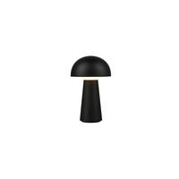 AKKU-TISCHLEUCHTE - Design (13,6/21,5cm)