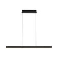 LED-HÄNGELEUCHTE Kent 118/10/170 cm   - Schwarz, Design, Kunststoff/Metall (118/10/170cm) - Dieter Knoll