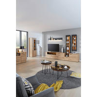 WOHNWAND 298/214/49 cm  in Anthrazit, Eichefarben  298/214/49 cm    - Eichefarben/Anthrazit, Natur, Glas/Holz (298/214/49cm) - Valnatura
