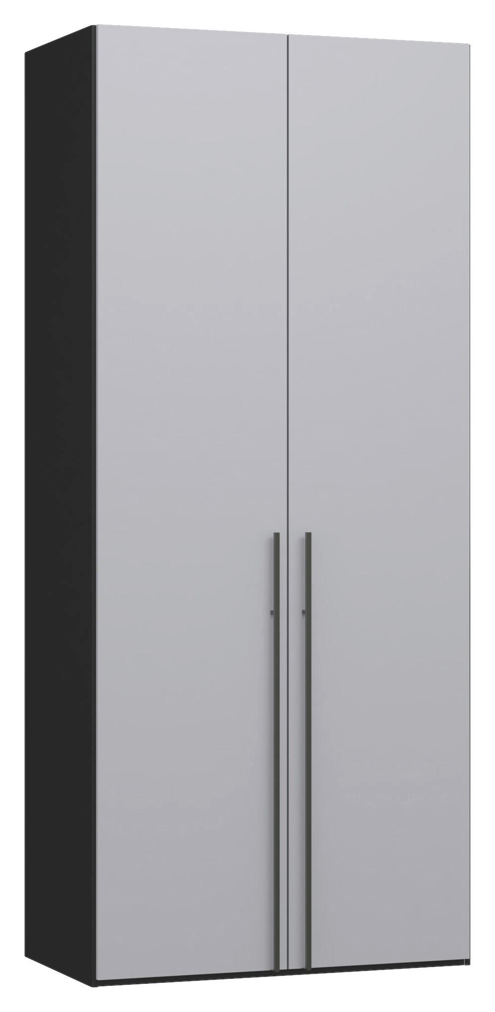 DREHTÜRENSCHRANK 102/236/59 cm,  in Schwarz, Hellgrau, 2-türig  - Titanfarben/Hellgrau, Design, Glas/Holzwerkstoff (102/236/59cm) - Jutzler