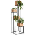BLUMENSTÄNDER in Holz, Metall 42,5/42,5/150 cm  - Schwarz/Akaziefarben, Trend, Holz/Metall (42,5/42,5/150cm) - Ambia Home